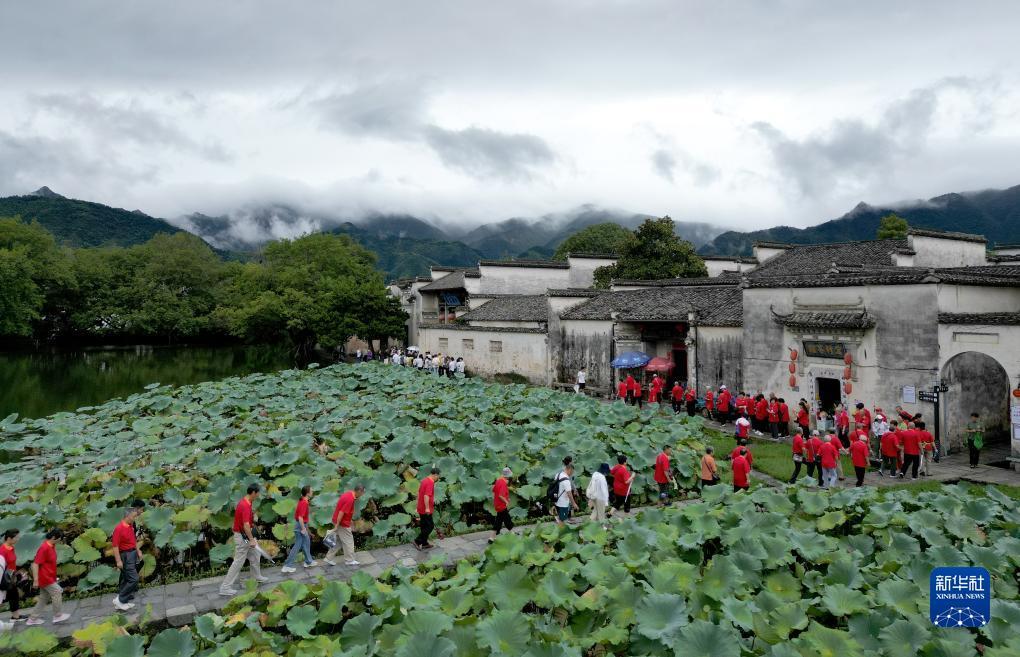 菠菜导航网免费推荐